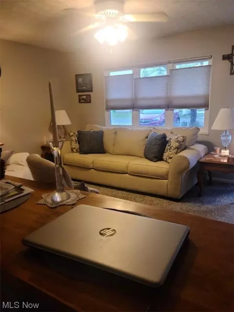 373 Hatton, Andover, OH 44003 photo 4