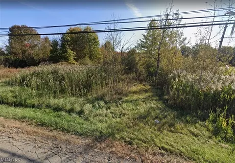 Youngstown Kingsville Road, Vienna, OH 44473