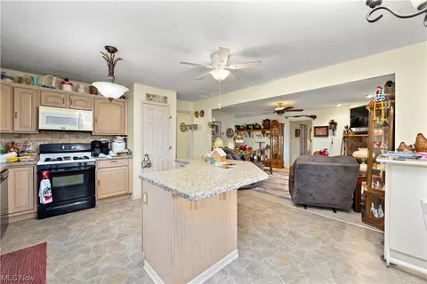 41038 Parsons Rd, Lagrange, OH 44050 photo 16