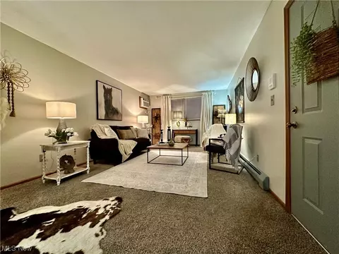 816 Pearson Cir #2, Boardman, OH 44512 photo 9