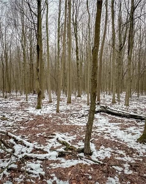 0 Tidd, Williamsfield, OH 44093 photo 4