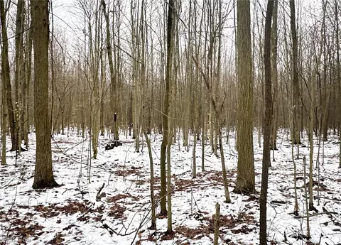 0 Tidd, Williamsfield, OH 44093 photo 6