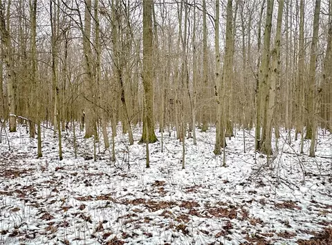 0 Tidd, Williamsfield, OH 44093 photo 2