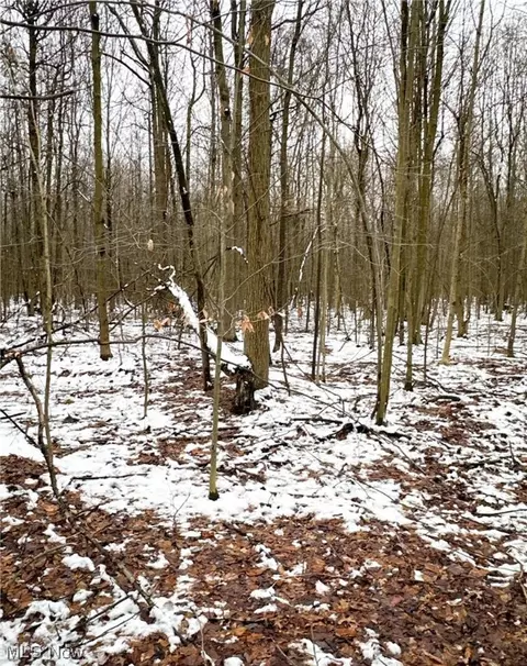 0 Tidd, Williamsfield, OH 44093 photo 7