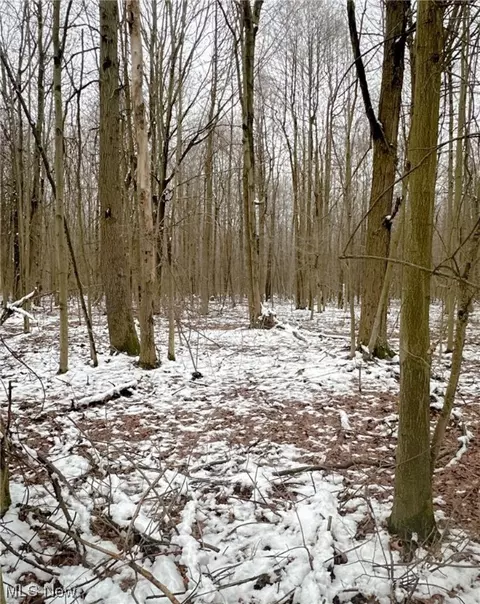 0 Tidd, Williamsfield, OH 44093 photo 5