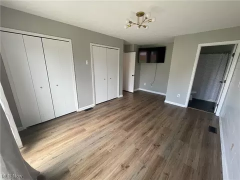 17465 Mallard Ct, Lagrange, OH 44050 photo 18
