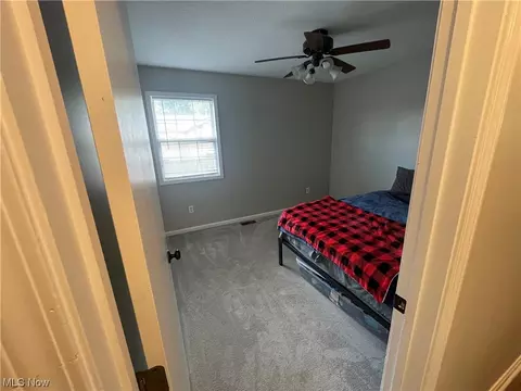 17465 Mallard Ct, Lagrange, OH 44050 photo 13