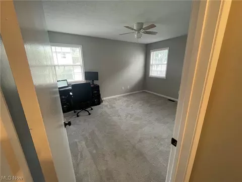 17465 Mallard Ct, Lagrange, OH 44050 photo 15