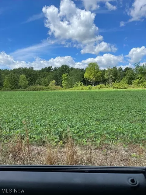Vl Island Road, Grafton, OH 44044