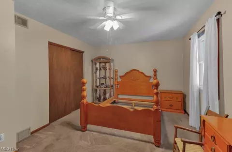 308 Stackhouse, Minerva, OH 44657 photo 20