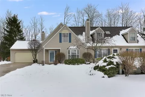10393 Covington Ln, Twinsburg, OH 44087