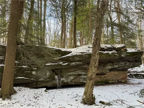 V/l Moseley Rd., Thompson, OH 44086