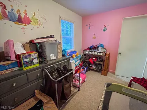 444 Maplewood Ave, Struthers, OH 44471 photo 8
