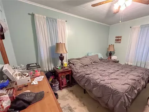 444 Maplewood Ave, Struthers, OH 44471 photo 5