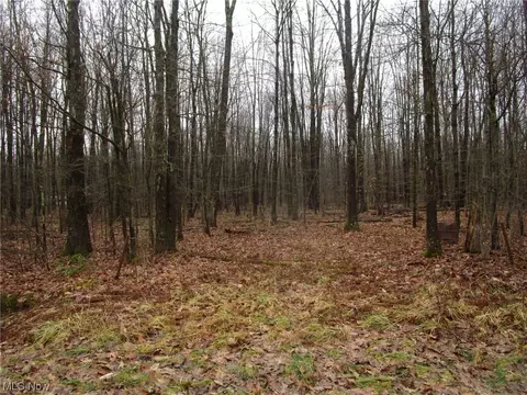 1 Windsor Rd, Williamsfield, OH 44093