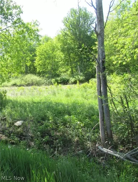 Woodard Road, Andover, OH 44003