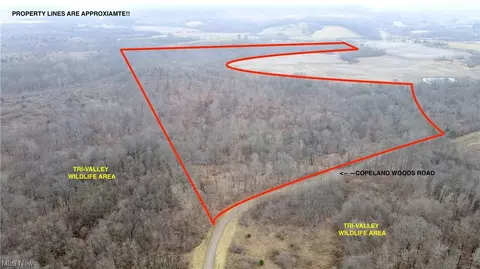 0 Copeland Woods Rd, Dresden, OH 43821