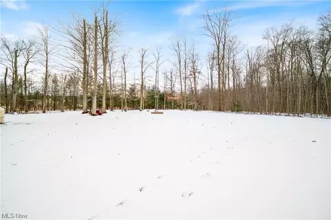 View/Area - 569 Hanson Pl, Geneva, OH 44041 photo 1 of 1