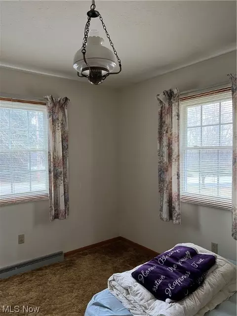 4711 Diane Dr, Ashtabula, OH 44004 photo 19