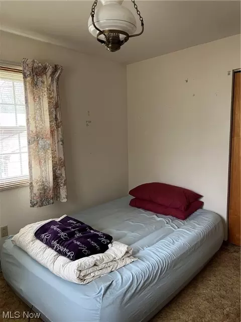 4711 Diane Dr, Ashtabula, OH 44004 photo 20