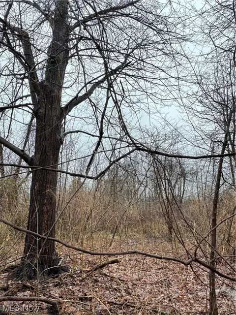 1 Bates Road # v l, Madison, OH 44057