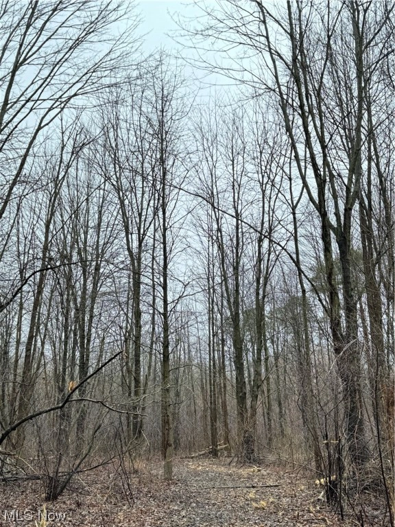 3 Bates Road Unit v l