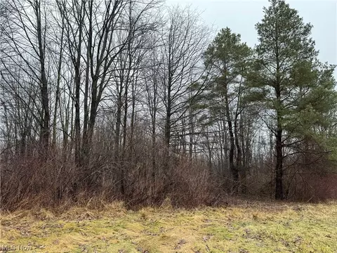 V/l 4 Bates Road, Madison, OH 44057