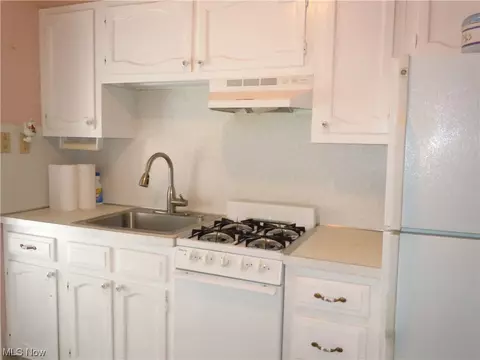 265 E 235th St, Euclid, OH 44123 photo 3