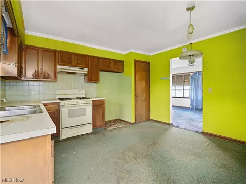 446 Lorain, Elyria, OH 44035 photo 10