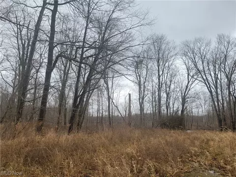 Dock, Madison, OH 44057