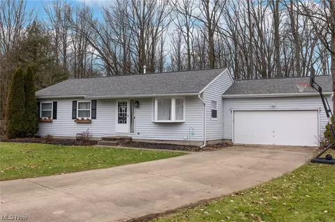 1101 Fanwood Ct, Painesville, OH 44077