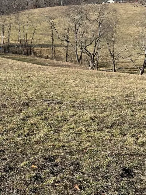 Congo Arroyo Road, New Cumberland, WV 26047