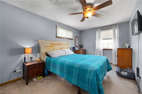 Bedroom - 238 Hilliard Rd, Elyria, OH 44035 photo 3 of 6