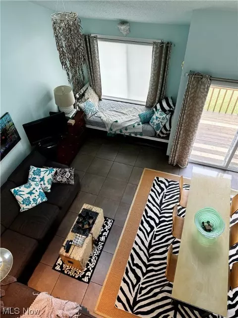 Living - 6035 Lake Rd W #232, Saybrook, OH 44004 photo 5 of 5
