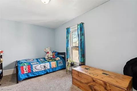 5835 Washington Ave, Ashtabula, OH 44004 photo 28