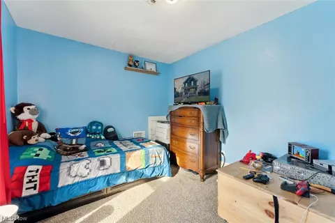 5835 Washington Ave, Ashtabula, OH 44004 photo 29
