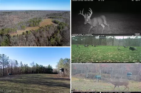 Township Road 113, Vincent, OH 45784