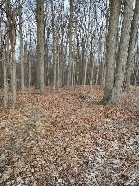 River Road, Perry, OH 44081