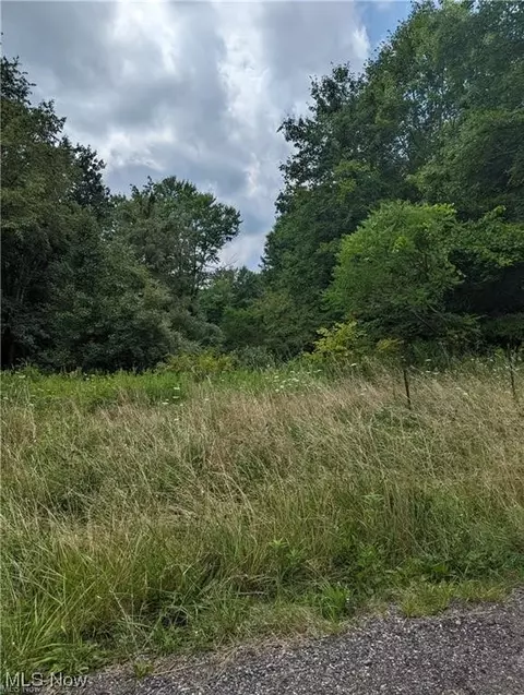 18405 Forbes Rd, Wellsville, OH 43968
