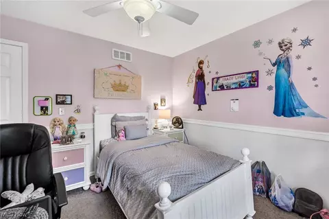 4360 Harper St, Perry, OH 44081 photo 42