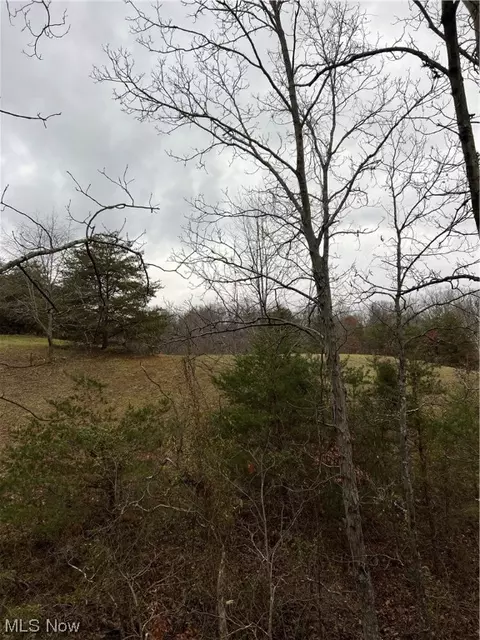 0 Dugan Rd, Belpre, OH 45714 photo 4
