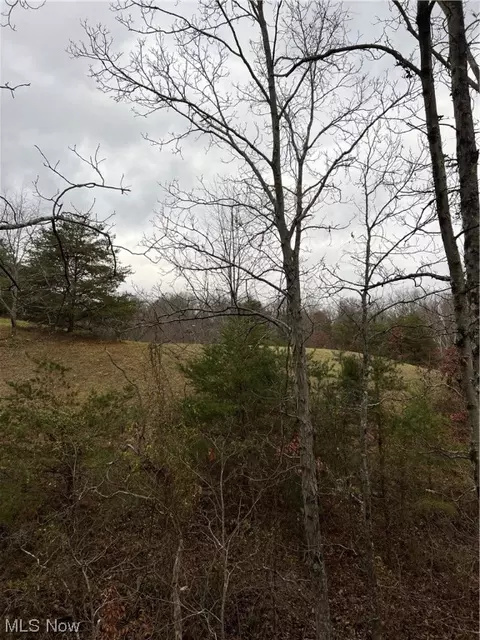 0 Dugan Rd, Belpre, OH 45714 photo 5