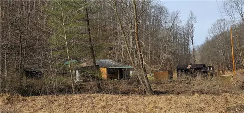 468 Right Crummies Creek Rd, Arnoldsburg, WV 25234