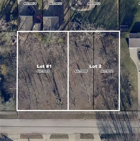 Theota Avenue, Parma, OH 44129