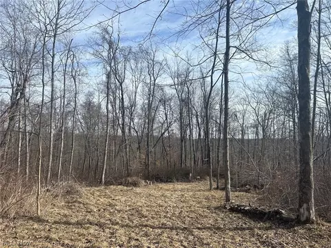 Township Road 57, Mount Perry, OH 43760