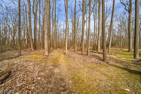 View/Area - 1305 Garrison Rd, Ashtabula, OH 44004 photo 3 of 7