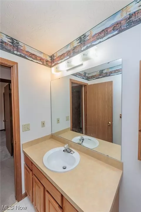 Bath - 328 Kansas Ave, Elyria, OH 44035 photo 4 of 4