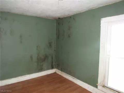 Other - 331 E 16th St, Ashtabula, OH 44004 photo 11 of 12