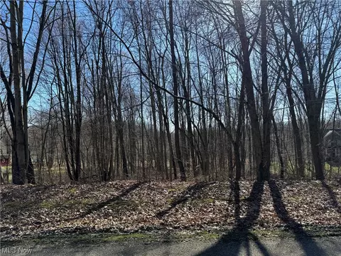 49081 Hickman Rd, East Liverpool, OH 43920