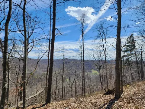 Progress Ridge Road, Walker, WV 26180 photo 2